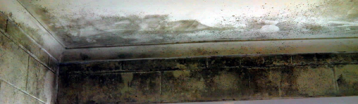 Ceiling mould growth due to a moisture problem caused by a lack of ventilation