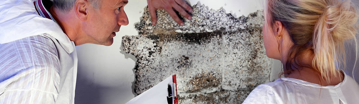 Mould reports for VCAT and other legal purposes